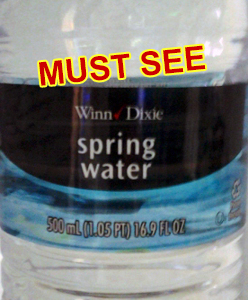 Winn Dixie Water Bottle